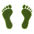 Grass footprint