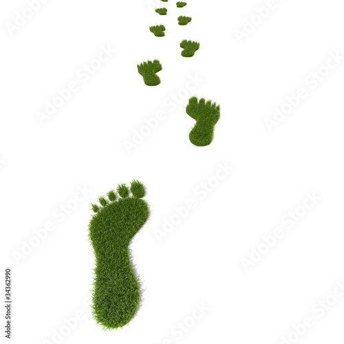 Illustration: Grass footprint Grass footprint