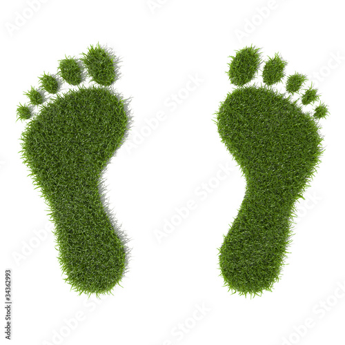 Illustration: Grass footprint Grass footprint