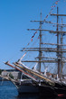 Ships in  The Tall Ships Races Baltic 2009, St. Petersburg