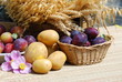 Kartoffelernte Pflaumenernte Hafer
