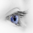 oeil