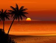 tropical beach sunset tropical beach sunset