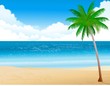 tropical beach tropical beach