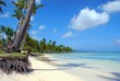 Samana dream beach
