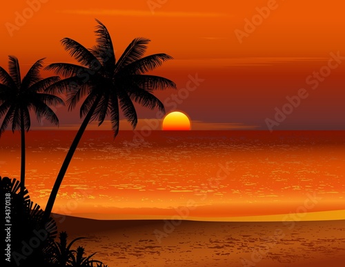 Vector: tropical beach sunset tropical beach sunset