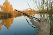 The hunter
