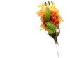Foto: Spaghetti mit Tomatensoße auf einer Gabel Spaghetti mit Tomatensoße auf einer Gabel