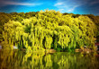 Spring time in park