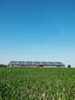 Farm and solar panel