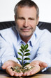 Prosperous growth of financial wealth.