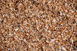 texture of sand on the beach