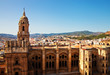 The Cathedral - Malaga's main buildings