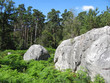 En forêt de Fontainebleau En forêt de Fontainebleau