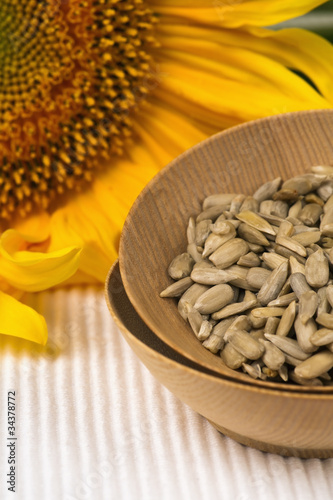 Foto: Sonnenblumenkerne Sonnenblumenkerne