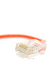 Ethernet Cable Connector on White Background