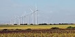 Molinos de viento