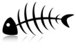 Skeleton