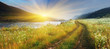 summer landscape