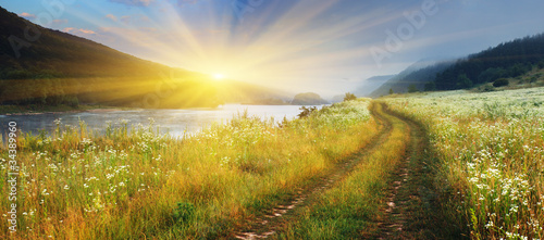 Photo: summer landscape summer landscape