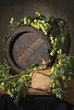 Still-life with hops