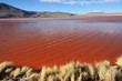 Laguna Colorada