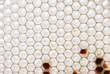 Photo: White honeycomb White honeycomb