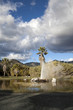 Geyser