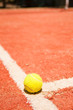 Tennis ball on the court