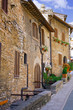 City cview of Assisi. Umbria. Italy