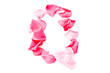 Pink Petal Letter - Capital Q