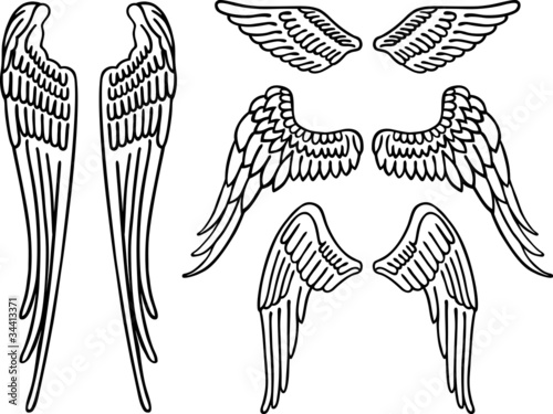 Angel wings vector 