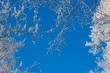 Photo: Beautiful nature, winter sky Beautiful nature, winter sky
