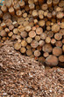 Holzstämme bereit zum Transport