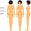 Womens size lines