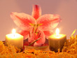 Lilienblüte