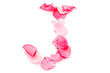 Pink Petal Letter - Capital J