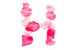 Pink Petal Letter - Capital H