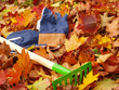 autum, leaves, rakes and gloves