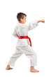 Photo: Full length portrait of a karate child posing Full length portrait of a karate child posing