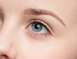 Cosmetic paint brush - close-up portrait of eye shadow zone Cosmetic paint brush - close-up portrait of eye shadow zone