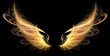 Demon Angel Fire hell Wings