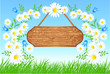 Camomiles with wooden signboard