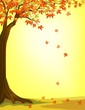 Autumn tree background Autumn tree background