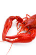 Crayfish