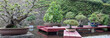 Panorama jardin japonais (bonzai)