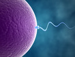 Sperm and egg