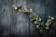 Grunge texture
