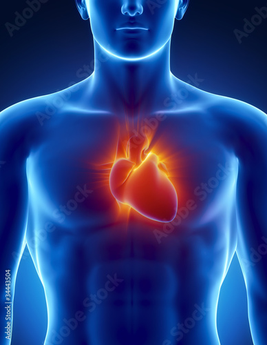 Illustration: Human heart in detail with glowing rays Human heart in detail with glowing rays