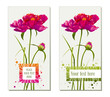 Set of flower greeting cards Set of flower greeting cards